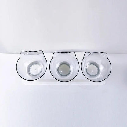 Stylish Pet Dining Bowl