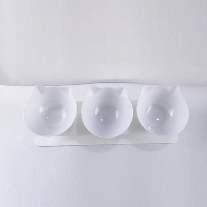 Stylish Pet Dining Bowl